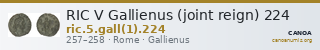 RIC V Gallienus (joint reign) 224 — CANOA