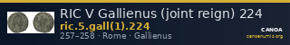 RIC V Gallienus (joint reign) 224 — CANOA