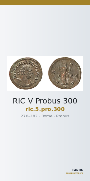 RIC V Probus 300 — CANOA