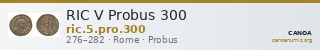 RIC V Probus 300 — CANOA
