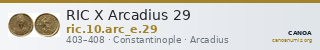 RIC X Arcadius 29 — CANOA