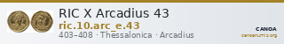 RIC X Arcadius 43 — CANOA
