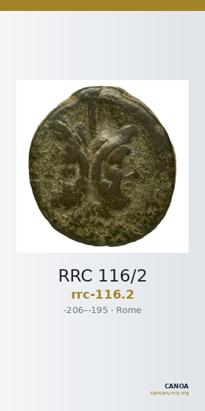 RRC 116/2 — CANOA