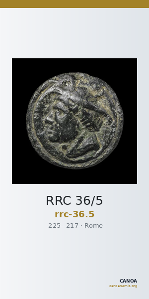 RRC 36/5 — CANOA