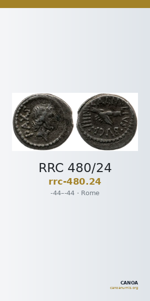 RRC 480/24 — CANOA