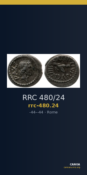 RRC 480/24 — CANOA