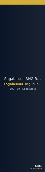 Sagalassus SNG Burdur  1661-2 — CANOA