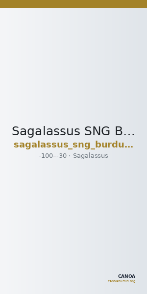 Sagalassus SNG Burdur  1661-2 — CANOA