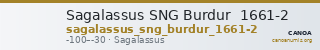 Sagalassus SNG Burdur  1661-2 — CANOA