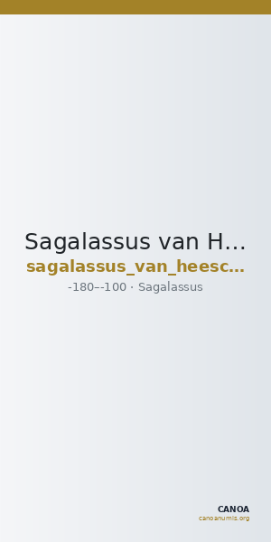 Sagalassus van Heesch and Stroobants 2015 Type 2 — CANOA