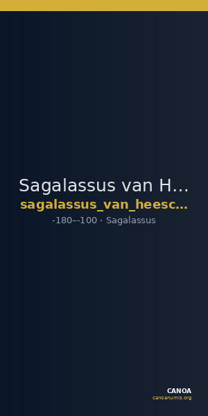 Sagalassus van Heesch and Stroobants 2015 Type 2 — CANOA