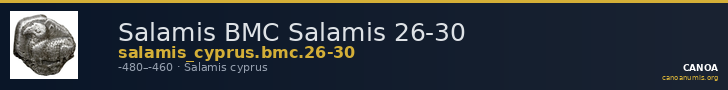 Salamis BMC Salamis 26-30 — CANOA