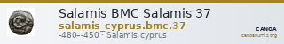 Salamis BMC Salamis 37 — CANOA