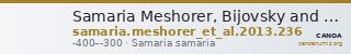 Samaria Meshorer, Bijovsky and Fischer-Bossert 2013 236 — CANOA