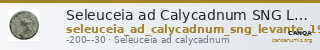 Seleuceia ad Calycadnum SNG Levante 703 — CANOA