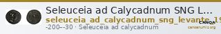 Seleuceia ad Calycadnum SNG Levante 711-15 — CANOA