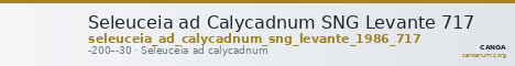 Seleuceia ad Calycadnum SNG Levante 717 — CANOA