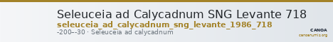Seleuceia ad Calycadnum SNG Levante 718 — CANOA