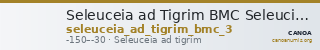 Seleuceia ad Tigrim BMC Seleucia ad Tigrim 3 — CANOA