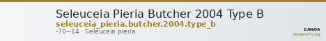 Seleuceia Pieria Butcher 2004 Type B — CANOA