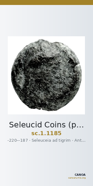 Seleucid Coins (part 1) 1185 — CANOA