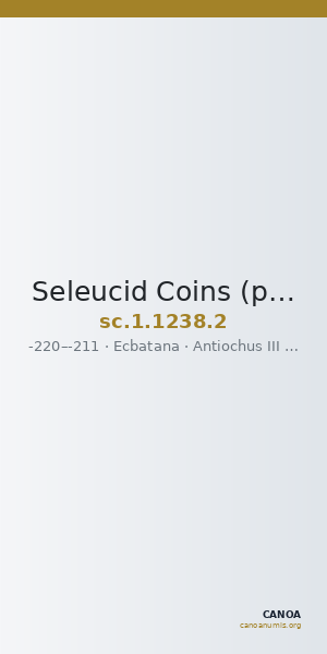Seleucid Coins (part 1) 1238.2 — CANOA
