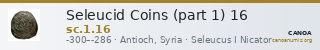 Seleucid Coins (part 1) 16 — CANOA