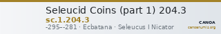 Seleucid Coins (part 1) 204.3 — CANOA