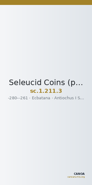 Seleucid Coins (part 1) 211.3 — CANOA