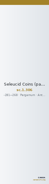 Seleucid Coins (part 1) 306 — CANOA