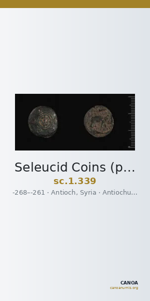 Seleucid Coins (part 1) 339 — CANOA