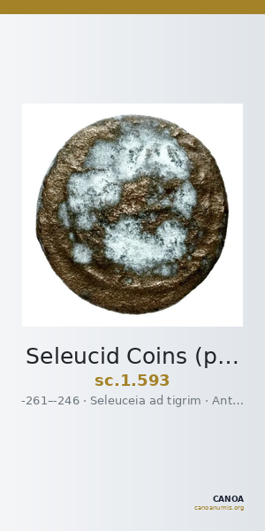 Seleucid Coins (part 1) 593 — CANOA