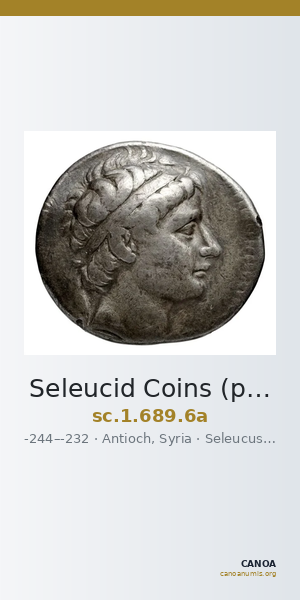 Seleucid Coins (part 1) 689.6a — CANOA