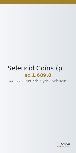 Seleucid Coins (part 1) 689.8 — CANOA