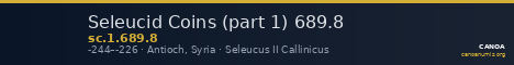 Seleucid Coins (part 1) 689.8 — CANOA