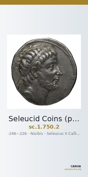 Seleucid Coins (part 1) 750.2 — CANOA