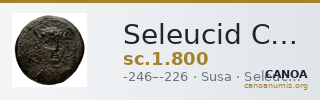 Seleucid Coins (part 1) 800 — CANOA