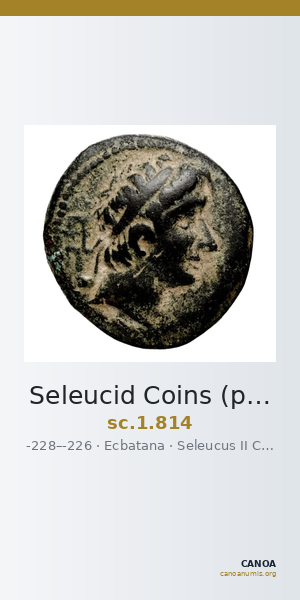 Seleucid Coins (part 1) 814 — CANOA