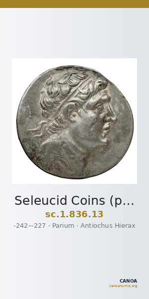 Seleucid Coins (part 1) 836.13 — CANOA