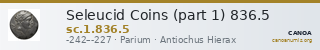 Seleucid Coins (part 1) 836.5 — CANOA