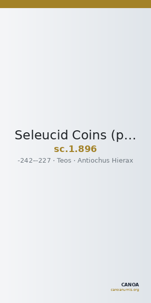 Seleucid Coins (part 1) 896 — CANOA