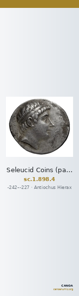 Seleucid Coins (part 1) 898.4 — CANOA