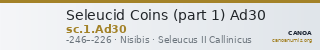 Seleucid Coins (part 1) Ad30 — CANOA
