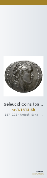 Seleucid Coins (part 2) 1313.6h — CANOA