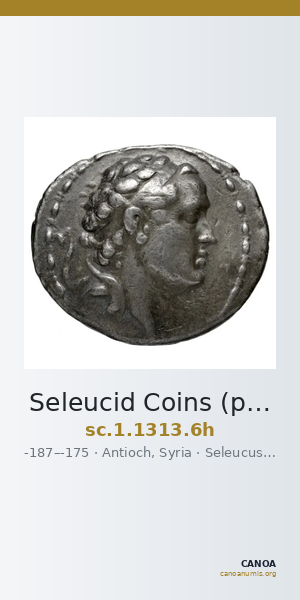 Seleucid Coins (part 2) 1313.6h — CANOA