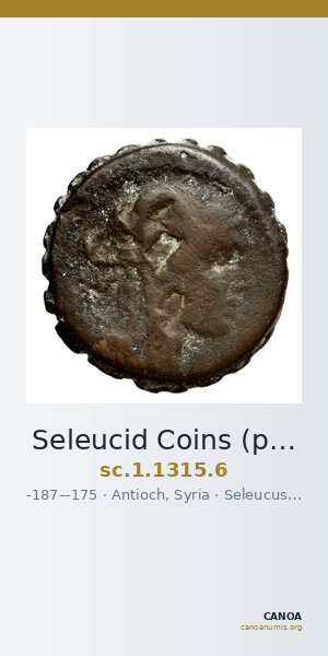 Seleucid Coins (part 2) 1315.6 — CANOA