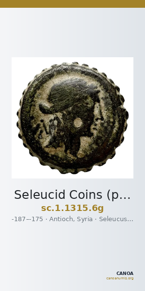 Seleucid Coins (part 2) 1315.6g — CANOA