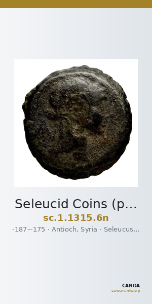 Seleucid Coins (part 2) 1315.6n — CANOA