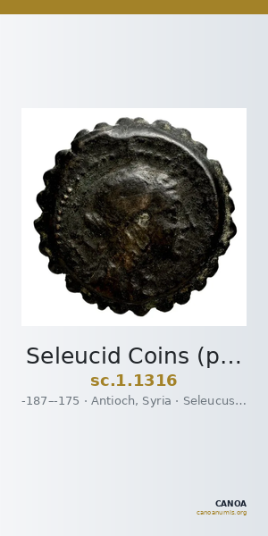 Seleucid Coins (part 2) 1316 — CANOA