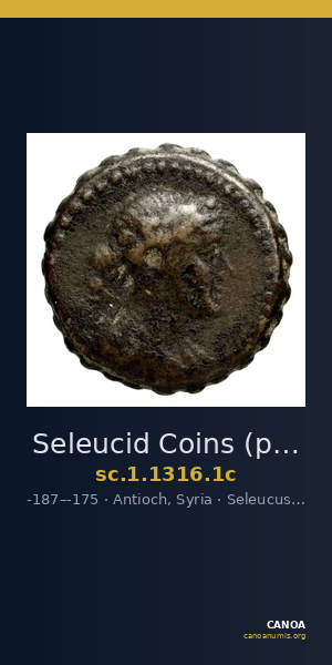 Seleucid Coins (part 2) 1316.1c — CANOA